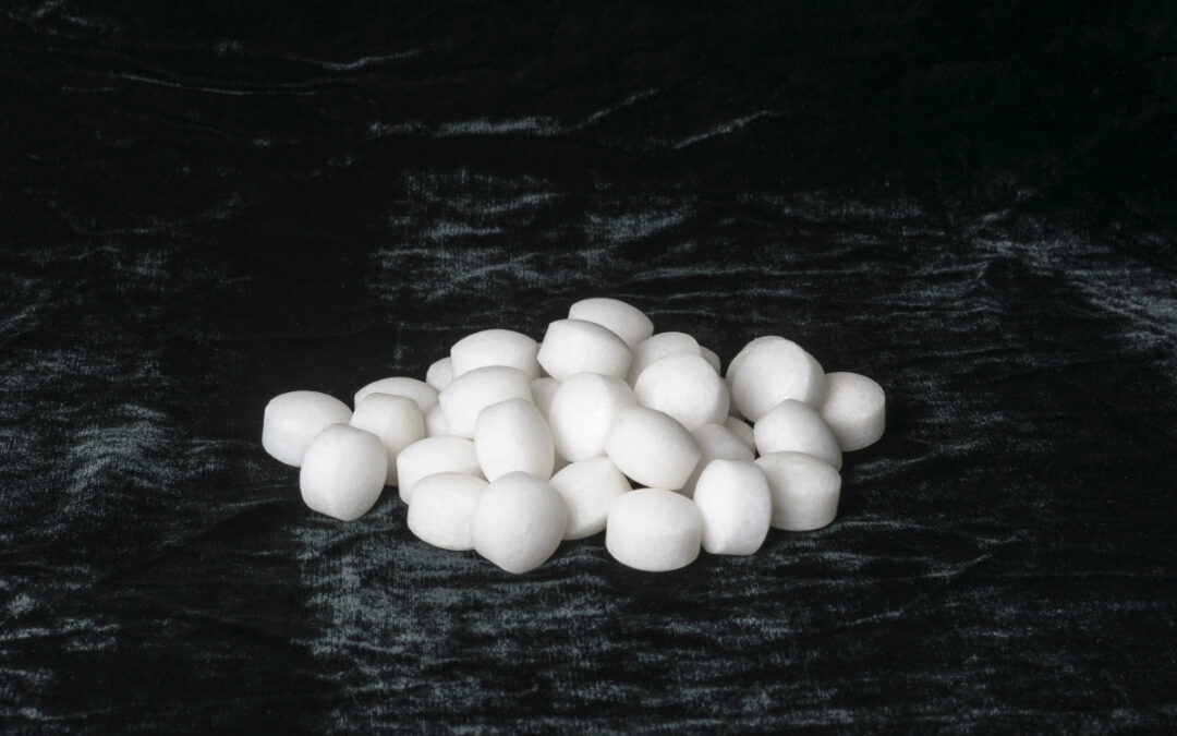 Do You Need Mothballs or Other Pest Repellents in a Storage Unit?