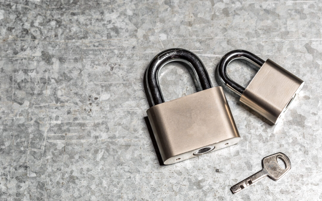 Lock It Up: Choosing the Best Locks for Your Storage Unit